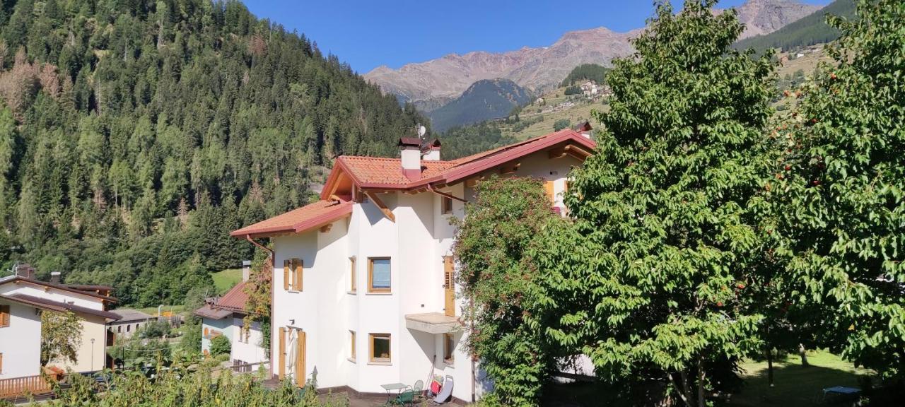 Appartamento Mary - Casa Green - Dog Friendly, Box Auto Cogolo Exterior foto